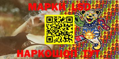 спиды Новодвинск