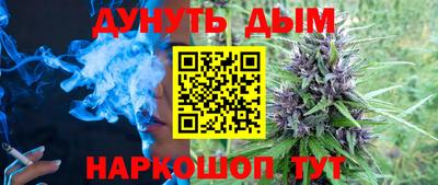 спиды Новодвинск