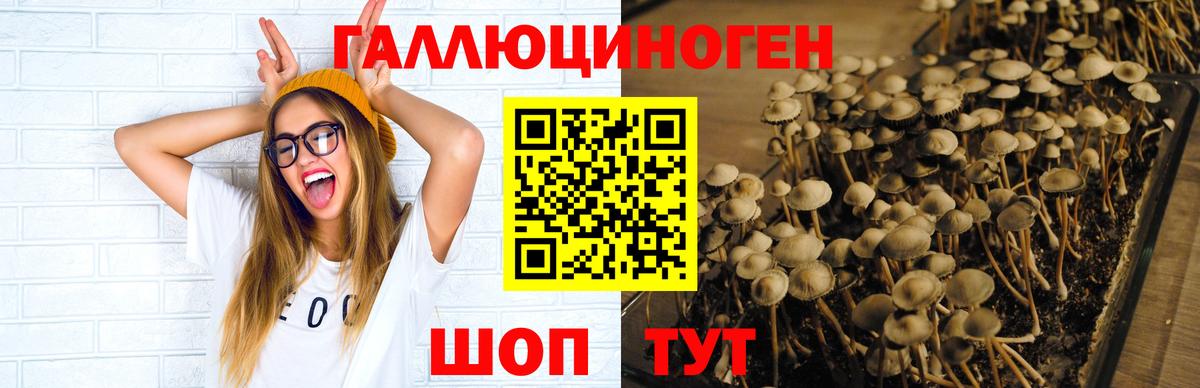 Псилоцибиновые грибы Cubensis  Галлюциногенные грибы Psilocybine cubensis  Вход с VPN  Ялта 